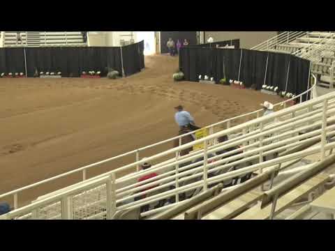 201001 Open Andrea Fappani on The American Dream