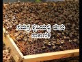 Apiculture in integrated farming-ಸಮಗ್ರ ಕೃಷಿಯಲ್ಲಿ ಜೇನು ಸಾಕಾಣಿಕೆ Apiculture in integrated farming-ಸಮಗ್ರ ಕೃಷಿಯಲ್ಲಿ ಜೇನು ಸಾಕಾಣಿಕೆ