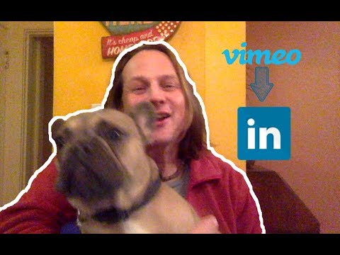 Vimeo automatically publishing to LinkedIn? - YouTube