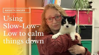 ANXIETY/ANGER - Using Slow-Low-Low to calm things down