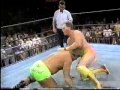 WCW Pro 10 7 95 1 3