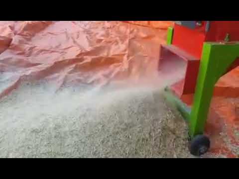 Giá thể bã mía cho cây trồng phát triển