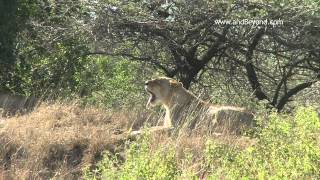 Download lagu Phinda Forest Lodge mp3