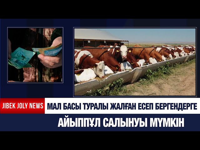 Мал басы туралы жалған есеп бергендерге айыппұл салынуы мүмкін