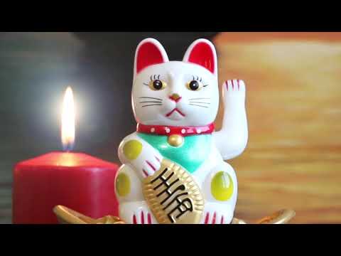 (French Narration) - The Zombie Apocalypse or the Renaissance 2.0