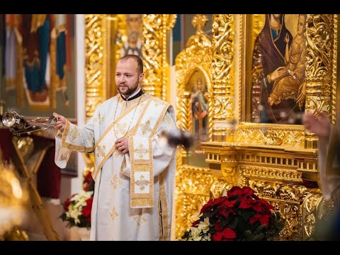 Arhid. Stefan Adrian Ghiuta - Sub o salcie pletoasa