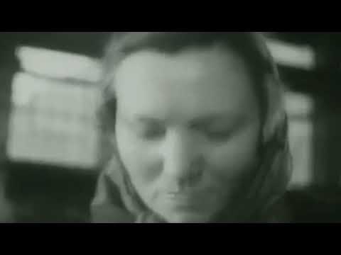 Projekt Polskie Sady - Nowy Śpiew Syren