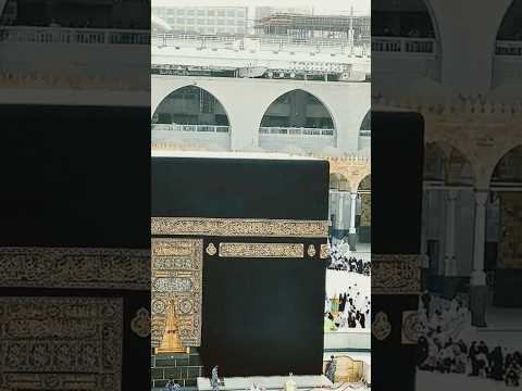 Lamyati Nazeero kafi Nazrin😍🥰🌹🫀 #short #ytshort #trending #viralshorts #trendingshorts #reels