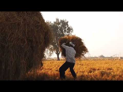 Pankaj Kumar muguri  Akash Unlis...