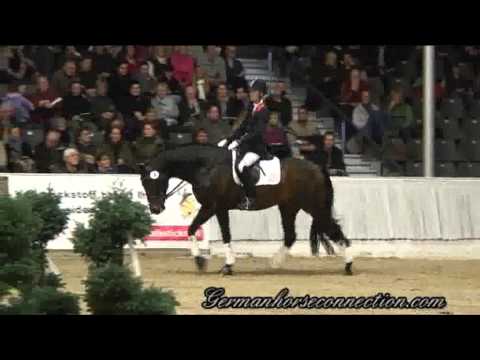 Bon Bravour VER Jan 12