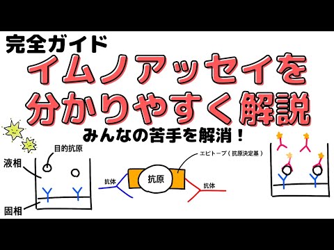 ゼノペルティスについて詳しく解説
