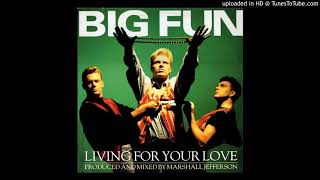 Big Fun - Living For Your Love (Marshall Jefferson mix ) 1989