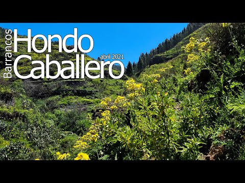 Bcos. HONDO and CABALLERO (April 2021) #GranCanaria #BarrancoHondo #Artenara