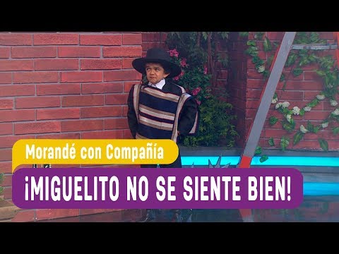 ¡Miguelito no se siente bien! - Morandé con Compañía