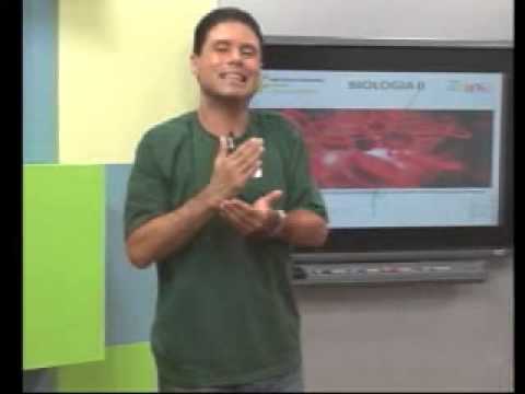 9ª aula - Biologia II
