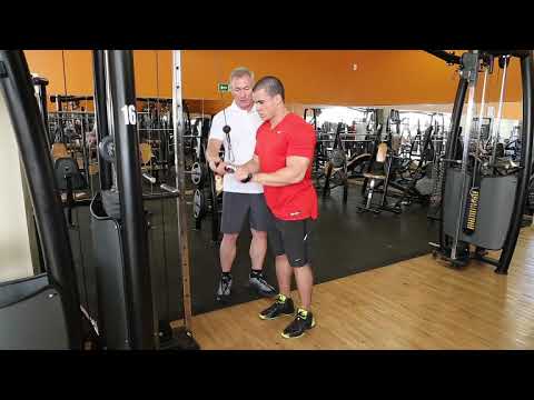 Triceps Exercise