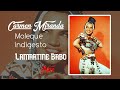 Moleque indigesto (letra) | CARMEN MIRANDA