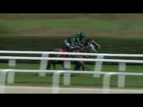 2018.09.09. 06. futam - APERIANOV ZAKARIÁS EMLÉKVERSENY - IMPERIÁL DÍJ (HUN Gd-2)(NGL-VIII.)