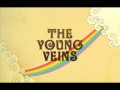 Heart Of Mine The Young Veins
