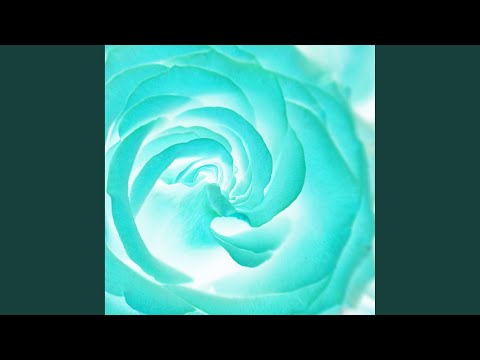 Sophisticated Ambience for Limitless Moments