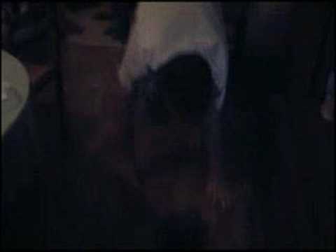 Everybody Dance Now !