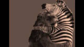 the upsetters ~we are neighbors