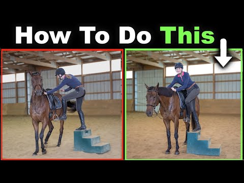 Teach A Horse to Stand Still While Mounting 😀