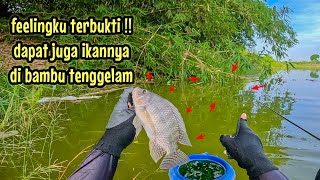 Download lagu HARI KEDUA AKHIRNYA NGOMSET JUGA DI SPOT INI || mancing ikan nila di waduk sangiran ngawi mp3 Download lagu HARI KEDUA AKHIRNYA NGOMSET JUGA DI SPOT INI || mancing ikan nila di waduk sangiran ngawi mp3