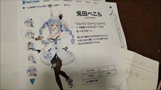 わたし人間　兎田ぺこらは絵　239万1125円