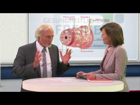 Der Darm denkt mit | Klaus-Dietrich Runow | Gesundheitliche Freiheit