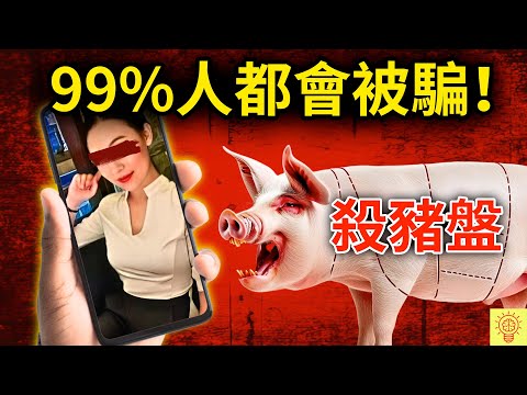 這就是殺豬盤：她被騙光160萬，就因他一句話！這話術太狠，99%人都會被騙！