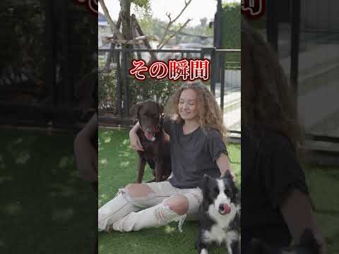 short動画作成します イメージ1