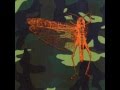 The Locust - Well I'll be a Monkeys Uncle (Kid 606 remix)