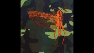 The Locust - Kid 606