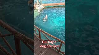 Cozumel Cruise Port Secrets!