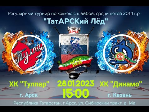 28.01.2023г. Тулпар-2014(Арск) - Динамо-2014(Казань)