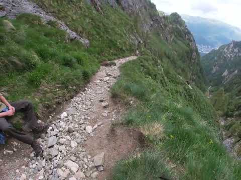 ÎN COBORÂRE PE VALEA JEPII MICI DIN BUCEGI
