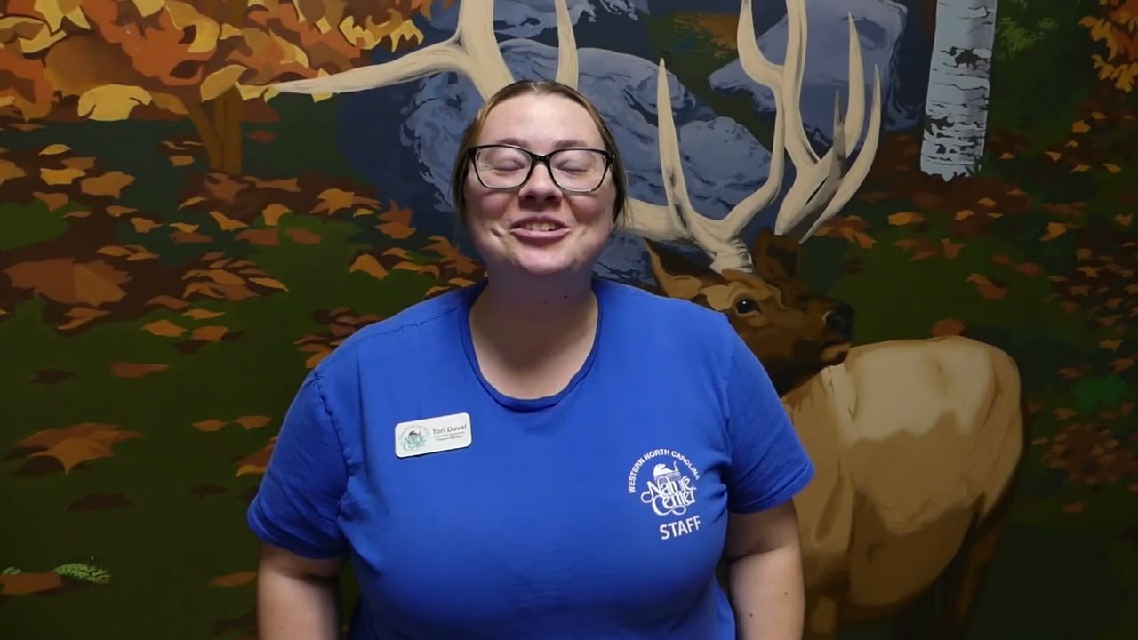 January 2024 Cubs and Kits video