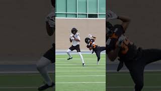 Kaidon Salter Goes DEEP to Michael Fitzgerald #bclions #cfl #trainingcamp