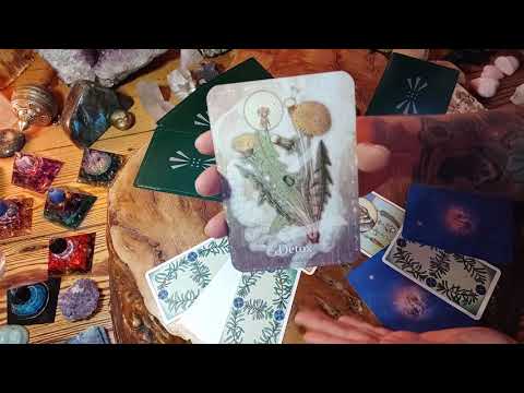 🤎 Medizinrad 🌱 12 Pflanzen  (Verbindung zu Erdzeichen)