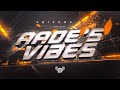 Aade's Vibes 5 | The End