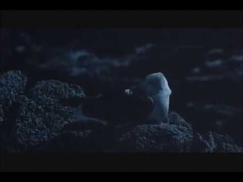 Jonathan Livingston Seagull (1973) Trailer