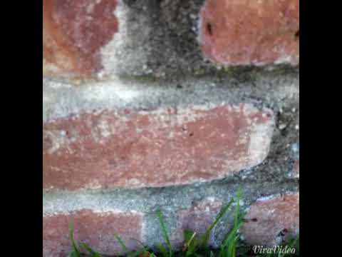 Ants find direct route into Union Beach, NJ  kitchen