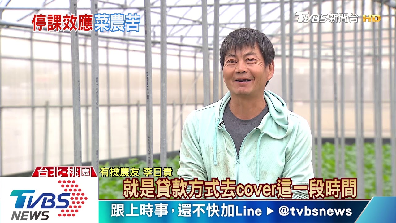 停課!營養午餐蔬菜作廢 農民一周虧30萬