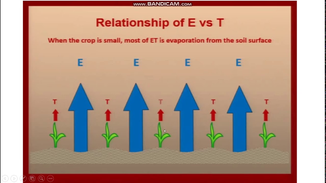 Kc crop coefficient (dual and single crop) - Bitki katsayısı