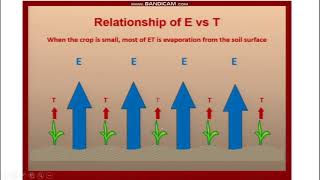 Kc crop coefficient (dual and single crop) - Bitki katsayısı