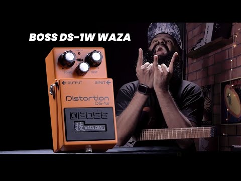 Обзор педали эффектов Boss DS-1W