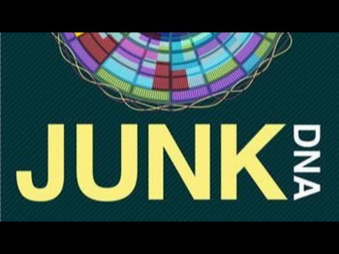 DISCUSSION:  junkDNA with Crispr CAS9