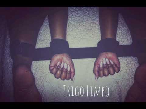 TRIGO LIMPO ( Mr. Dori x MeekMad x Buaiic Cici x Mister Vip x Kiitxo Talismã)