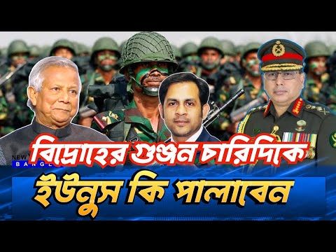 বিদ্রোহের গুঞ্জন চারিদিকে ইউনুস কি পালাবেন #NewYorkVoiceBangla #MdNazmulHasan